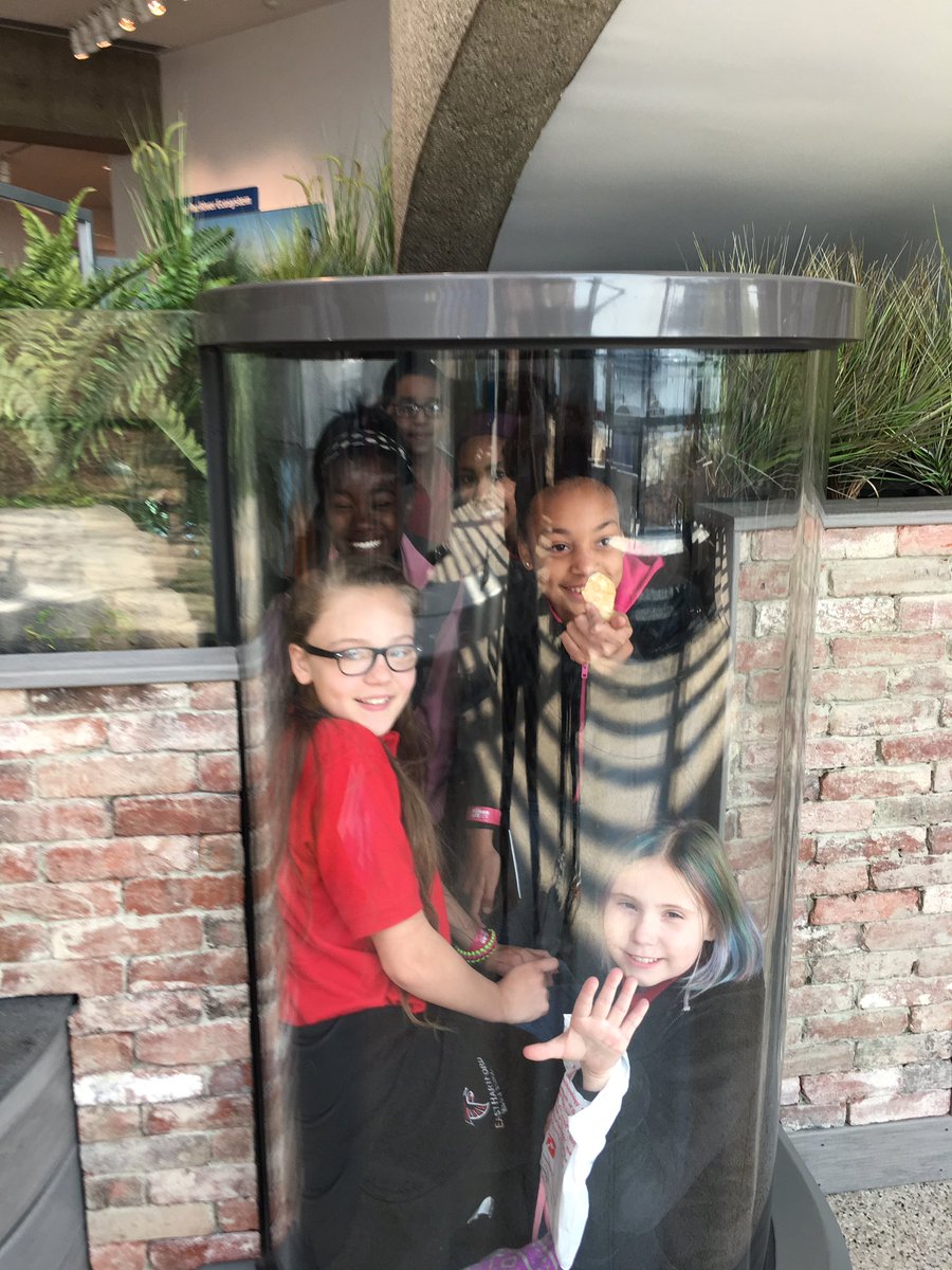 Had an amazing day at the Boston Museum of Science! <a href="/EHMiddle/">East Hartford Middle School</a>