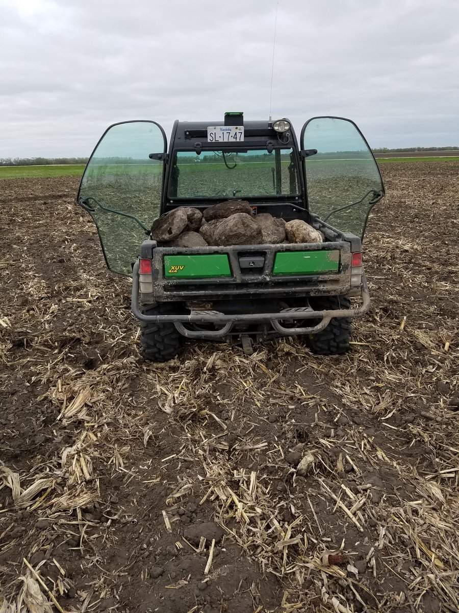 Travis hofer tweet media