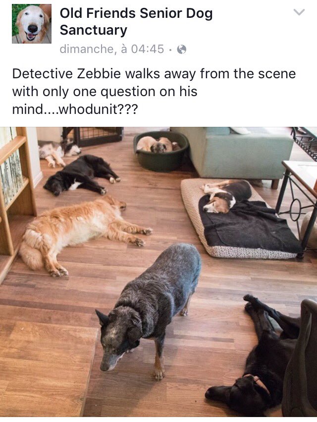 PhantomsAreLame's tweet photo. whodunit https://t.co/IEJr1upHzR