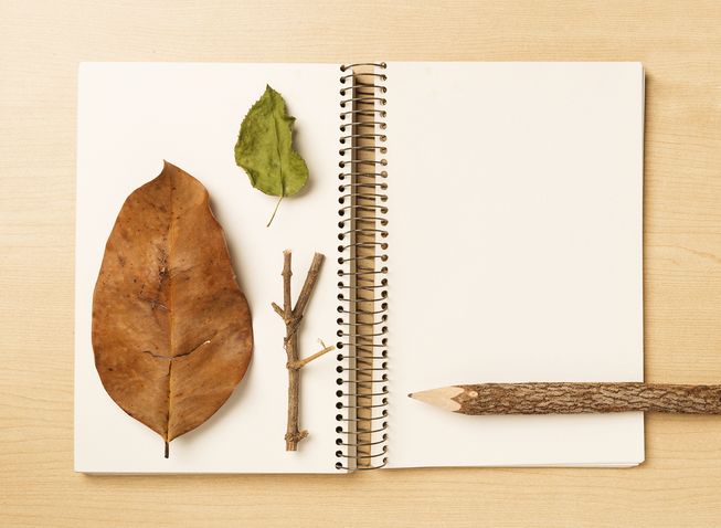 Discover more about the flora and fauna around you -- how to keep a nature journal bit.ly/1TBhfR1