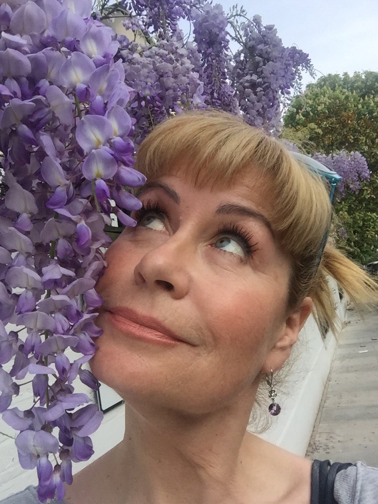 SianWeather's tweet photo. Welcome to my Wisteria Lane! Getting wonderful whiffs as I sort out the garden #springtasks https://t.co/IAqEKPAEjc