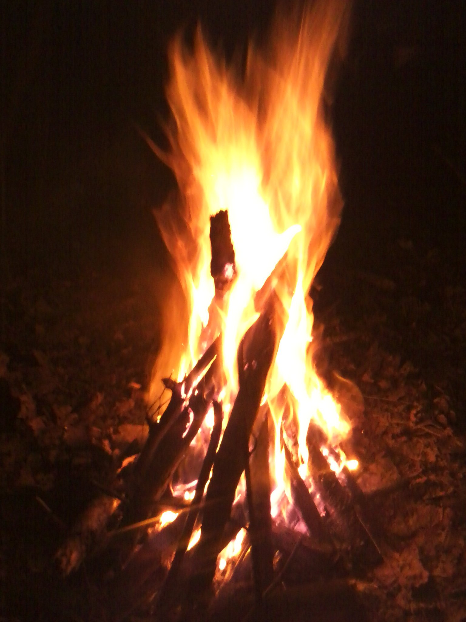 Ivana Fukalot on X: We got drunk good, told bullshit all the time.Kissed  all the time.I did strip-show to song take me to chirch..aaaw  t.coFkFzanypHv  X