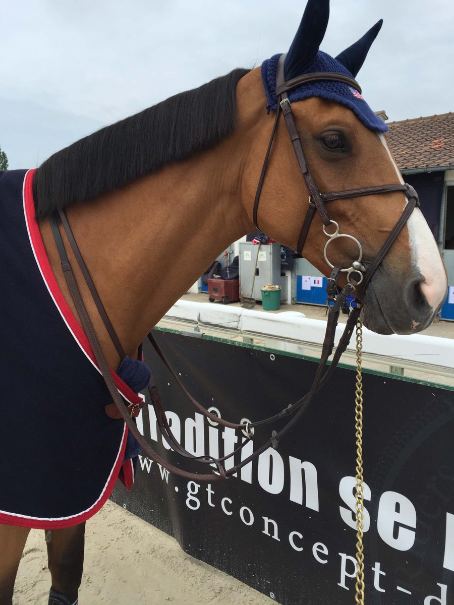 Off to a great start at La Baule - Abunola fourth in the 1.50m Prix with a speedy clear! #TeamUSA #TeamElmRock