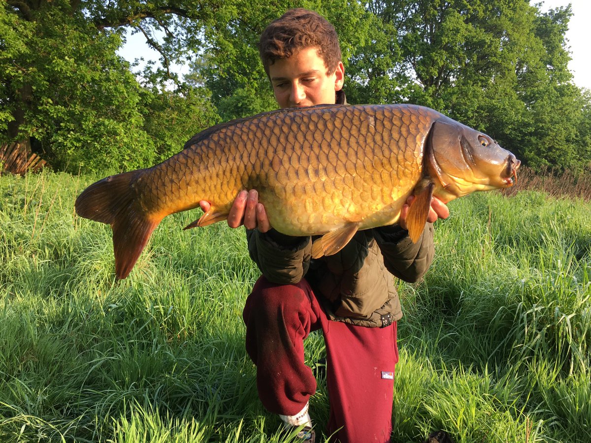teddy_nelson1's tweet image. 20lb common and 16lb White tips from the park! @BTSangling