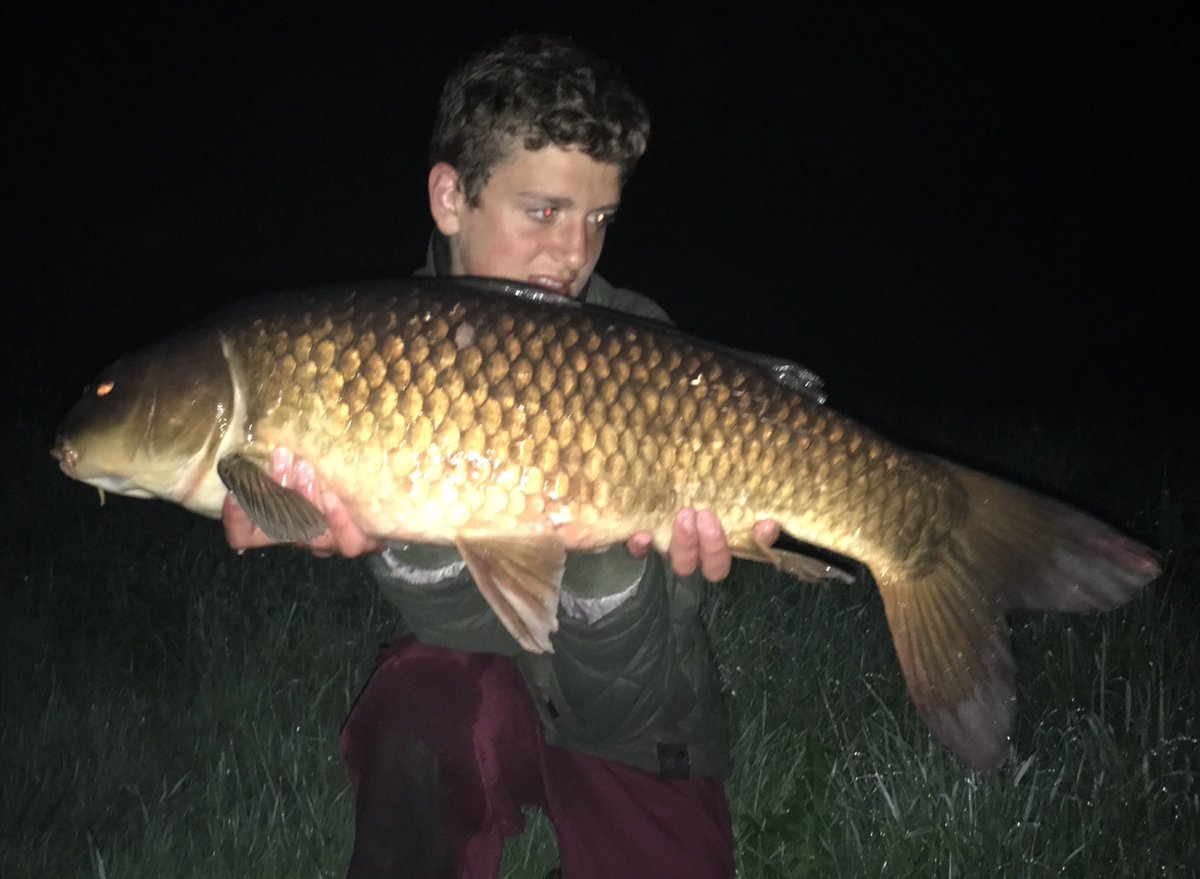 teddy_nelson1's tweet image. 20lb common and 16lb White tips from the park! @BTSangling
