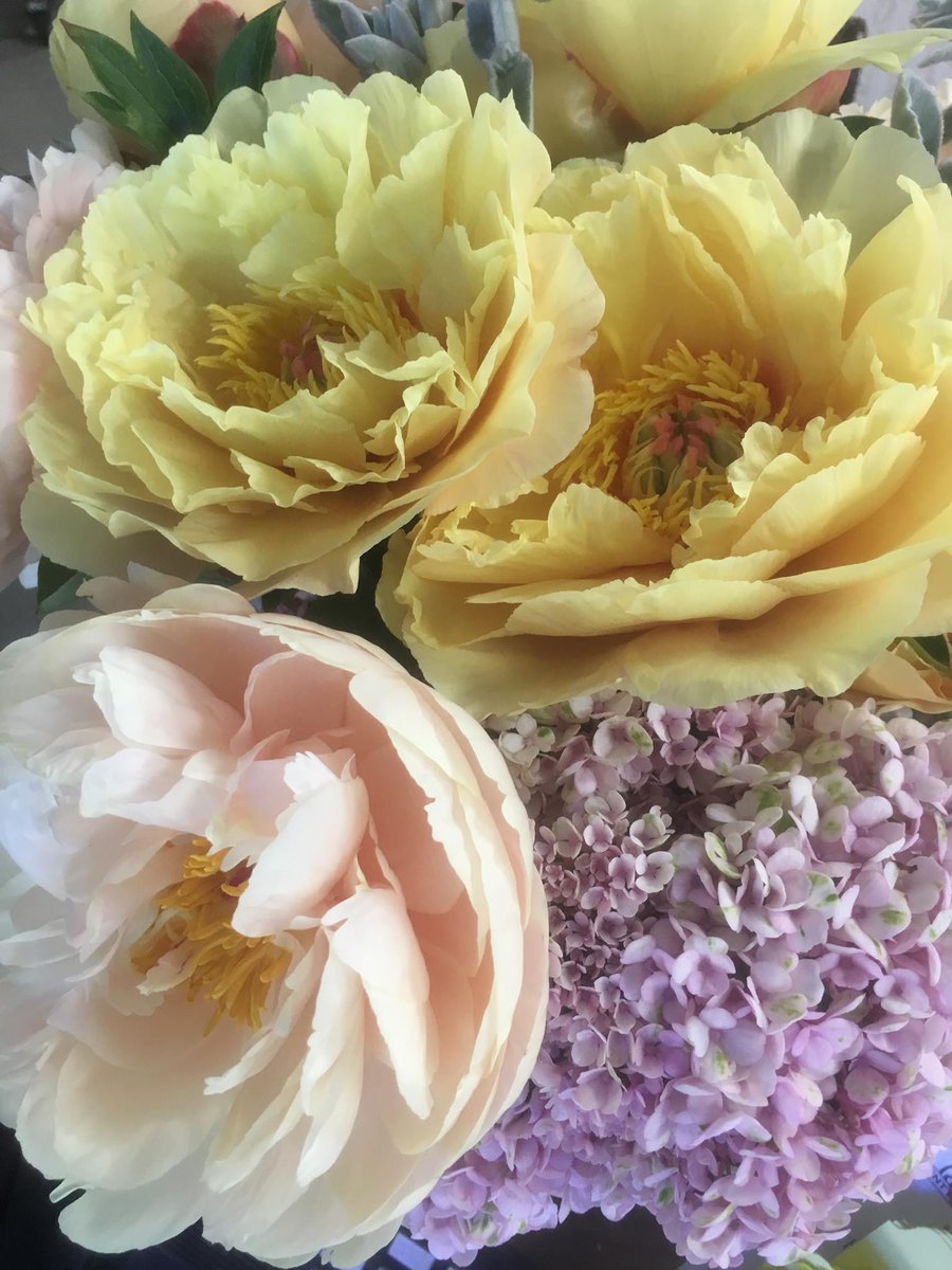 PEPCreative's tweet photo. โA few flowers at work today. Breathtakingly beautiful.โ - Jim Lennox
#PEPCreative #floraldecor #ilovemyjob https://t.co/lUxq9CBjVj