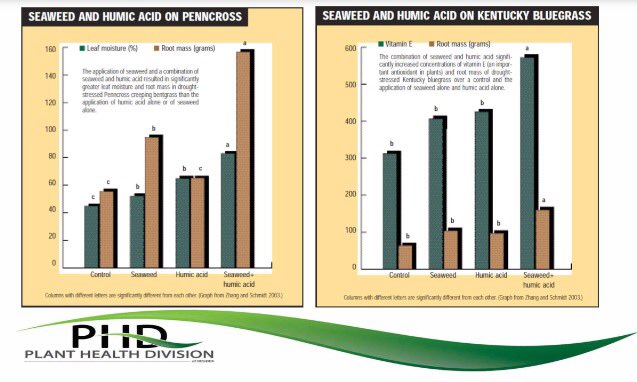 <a href="/TurfgrassCanada/">Turfgrass Canada</a> <a href="/TurfFuel/">TurfFuel</a> compelling research from @VTErvinturf showing the effects of SWE and Humic acid. #rooting
