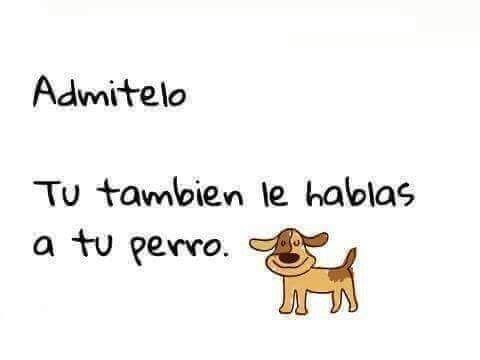 CanMundo's tweet image. ¿Y quien no?. Que cosas le dices a tu mascota? 

Síguenos en Facebook: facebook.com/Nosotrosylasma…