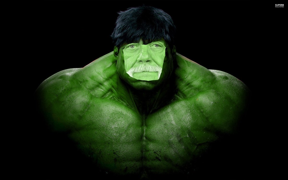 minecraft3606's tweet image. Hulk-Hogan xD