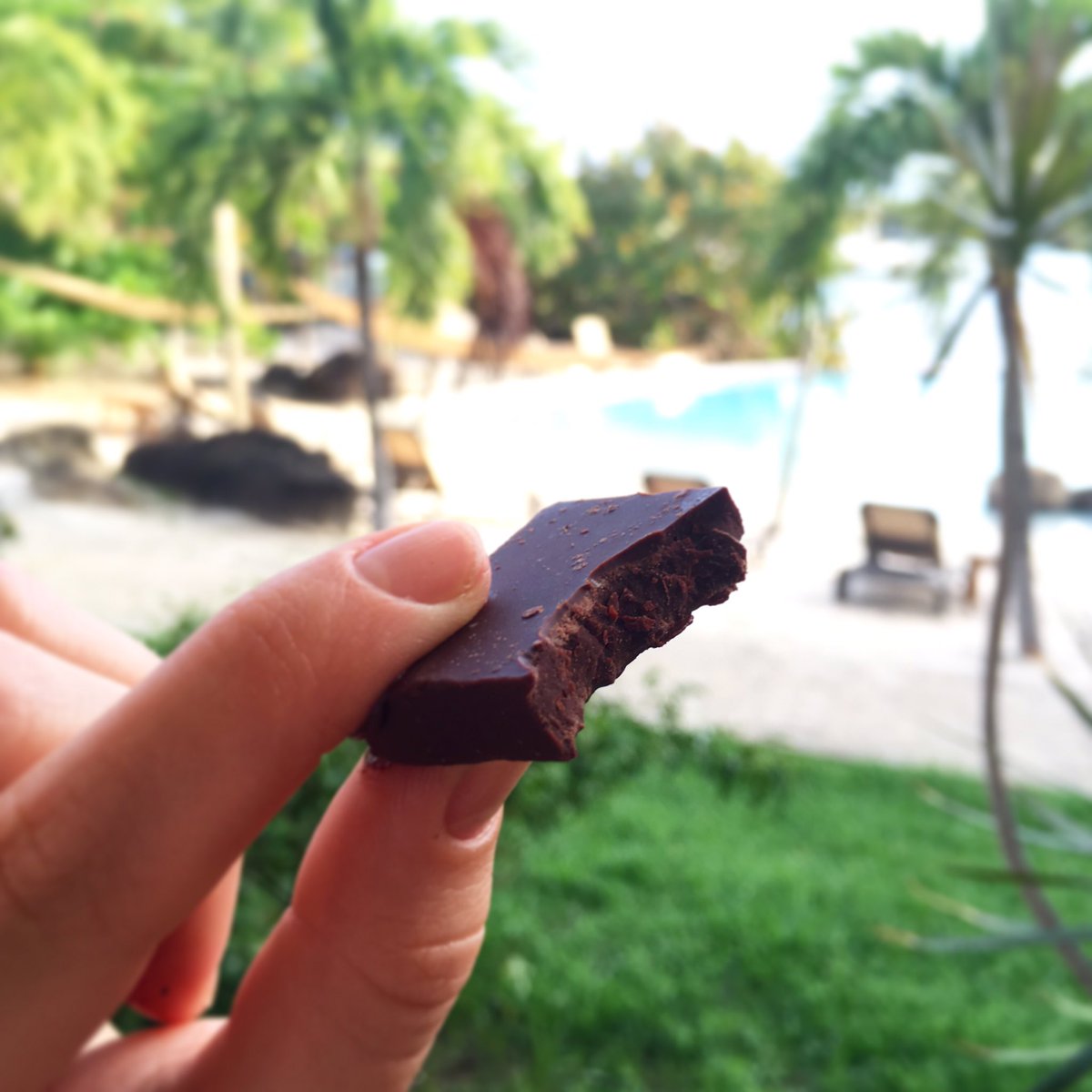 hazel_choc's tweet photo. Back in my natural habitat surrounded by palm trees, chocolate and rum punch 😎🌴🍹🍫✨☀️ #grenadacocoa @truebluegrenada https://t.co/QAxwccTO5q