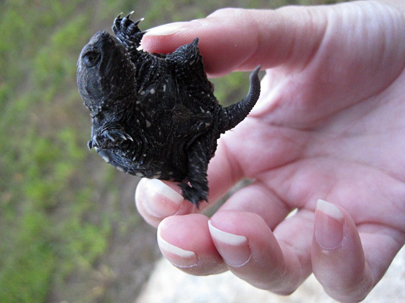 Jesse McCarthy tweet media