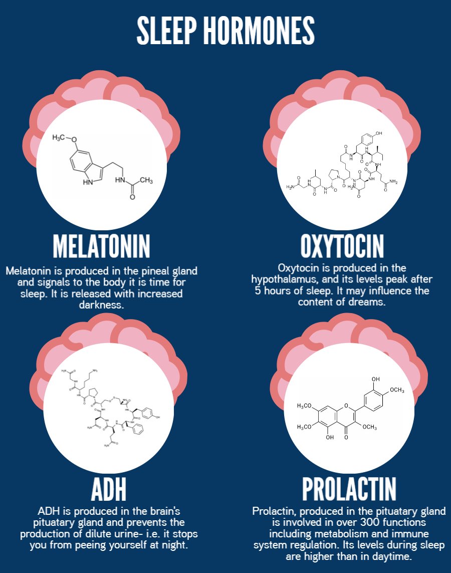 thatguymarko's tweet image. #SleepHormones