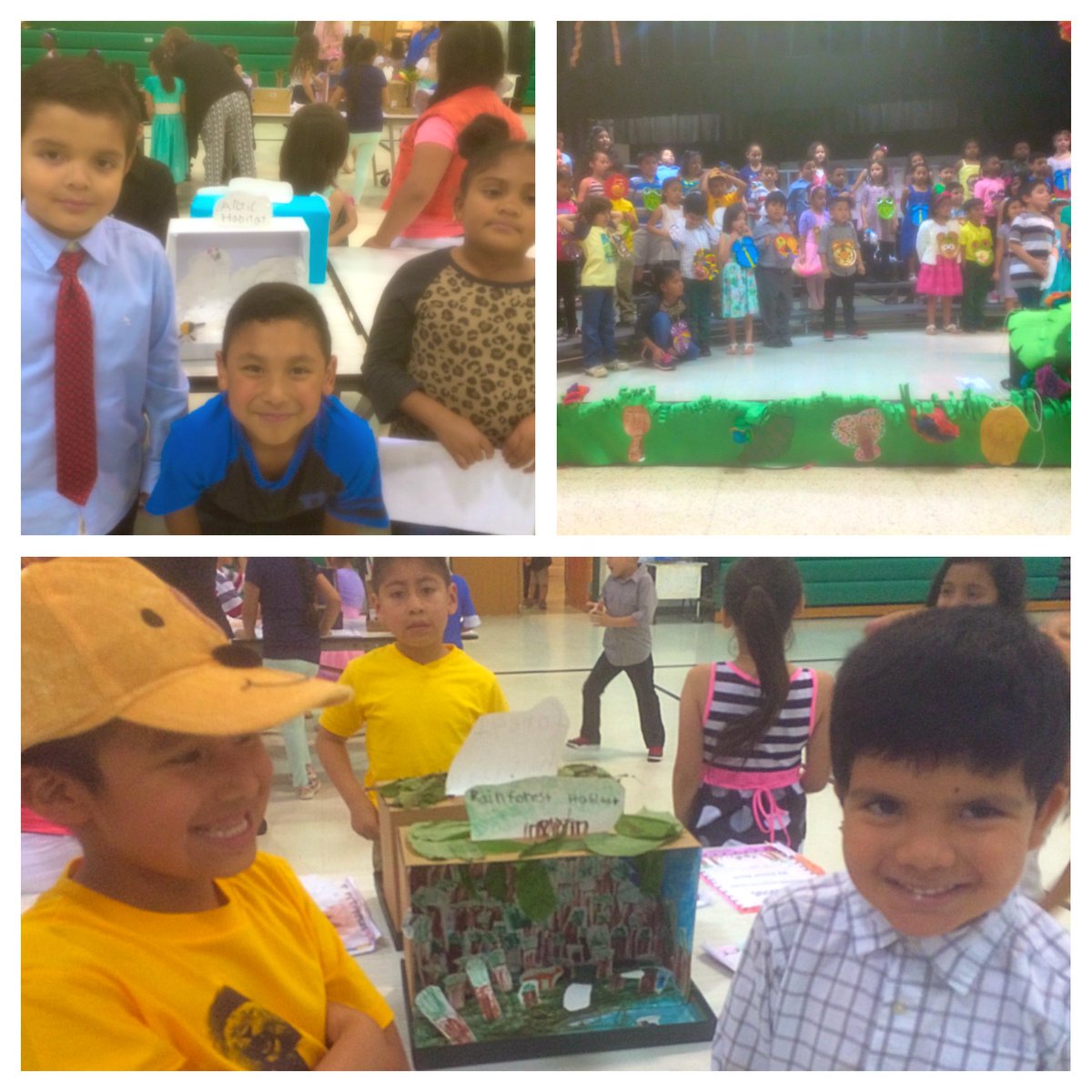 First grade animal habitat project and jungle performance! <a href="/GuilfordEle/">Guilford Elementary School</a> #ggators16 #firstgrade