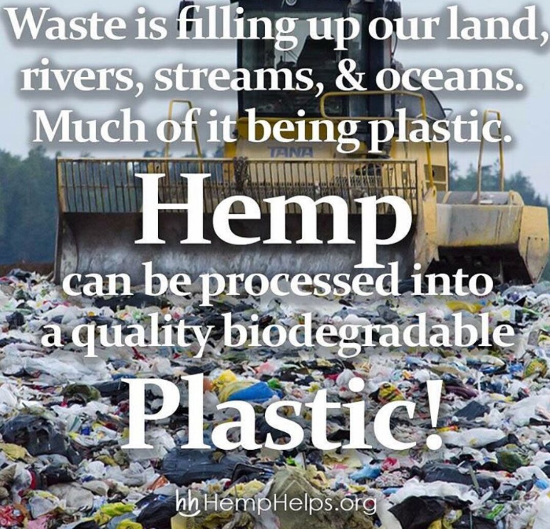HempHelps's tweet photo. #Demand #hemp! #SaveTheEarth #savetheearthin4words #HEMP https://t.co/y7VIiYdtEO