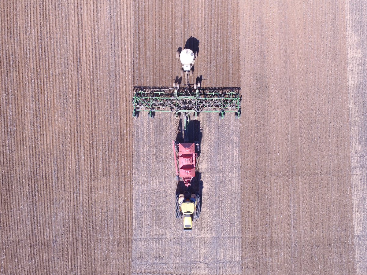 murray_bowman's tweet photo. Glorious
#seeding2016 https://t.co/2JhC6N0GyM