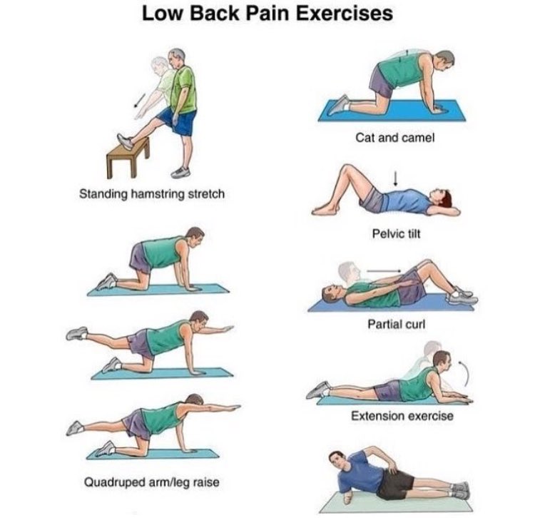 LHglobal's tweet photo. Low back pain exercises 
#healthy #fitness #body https://t.co/PuZyvRWVvG
