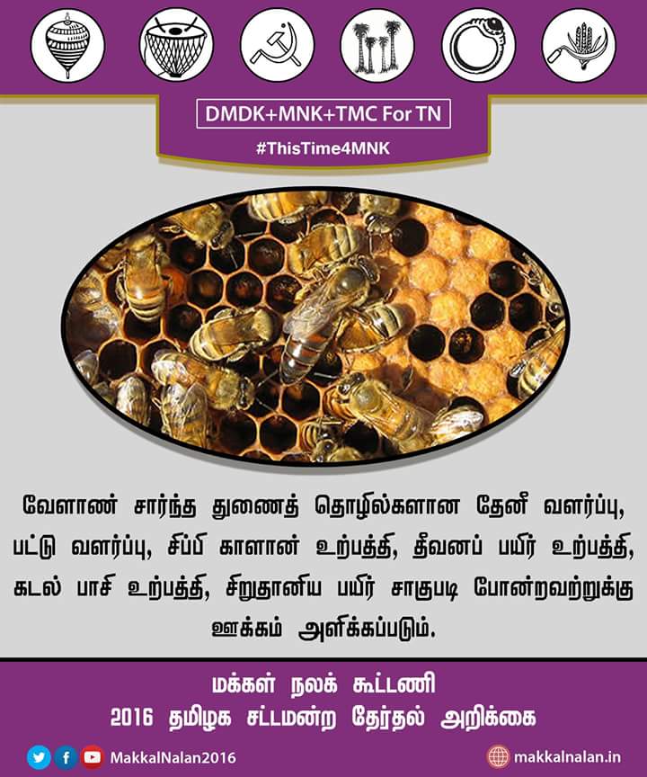 senthilaan's tweet photo. தேனீ வளர்ப்பு, பட்டு வளர்ப்பு, காளான் வளர்ப்பு, தீவனப் பயிர், கடல் பாசி, சிறுதானிய உற்பத்திக்கு ஊக்கம் #Vote4MNK https://t.co/YCL3izQkbr