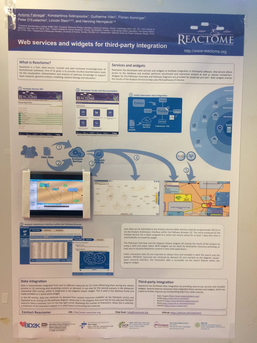 AntonioFabregat's tweet image. Reactome web services and widgets for third-party integration #usereactome #JBI2016 goo.gl/koRvhp