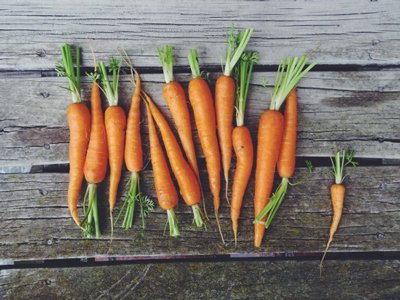 Go crazy for #carrot with these carrot #cake truffles via <a href="/frankiemagazine/">frankie magazine</a> bit.ly/1pWoTNS