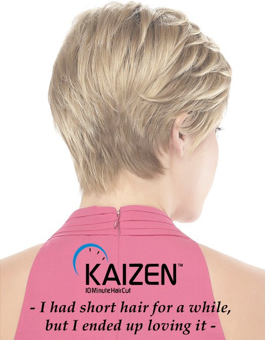 Kaizen Haircut On Twitter Tatyana Ali Said I Had Short Hair For