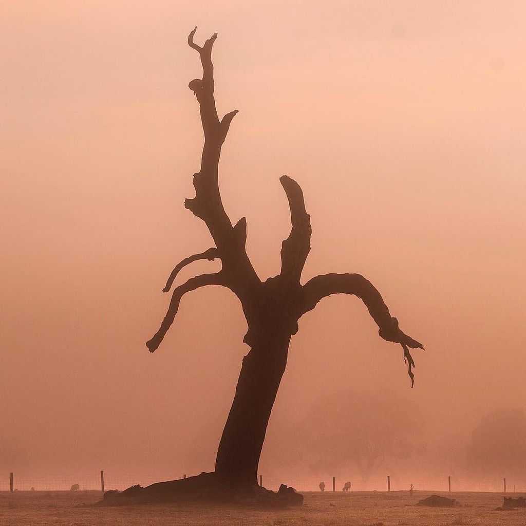 EXPLORE AUSTRALIA tweet media