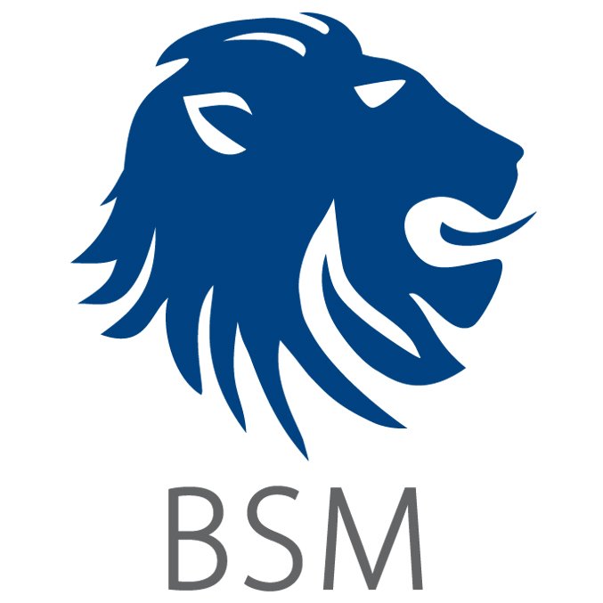 bsmtechnology tweet picture