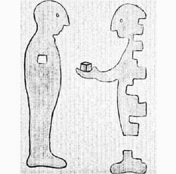 boto rosa tweet media