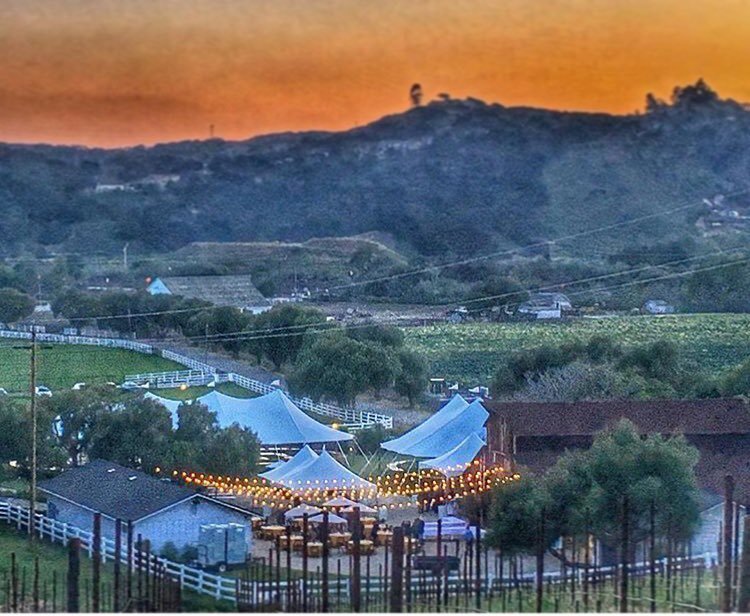 Chardonnay Symposium tweet media