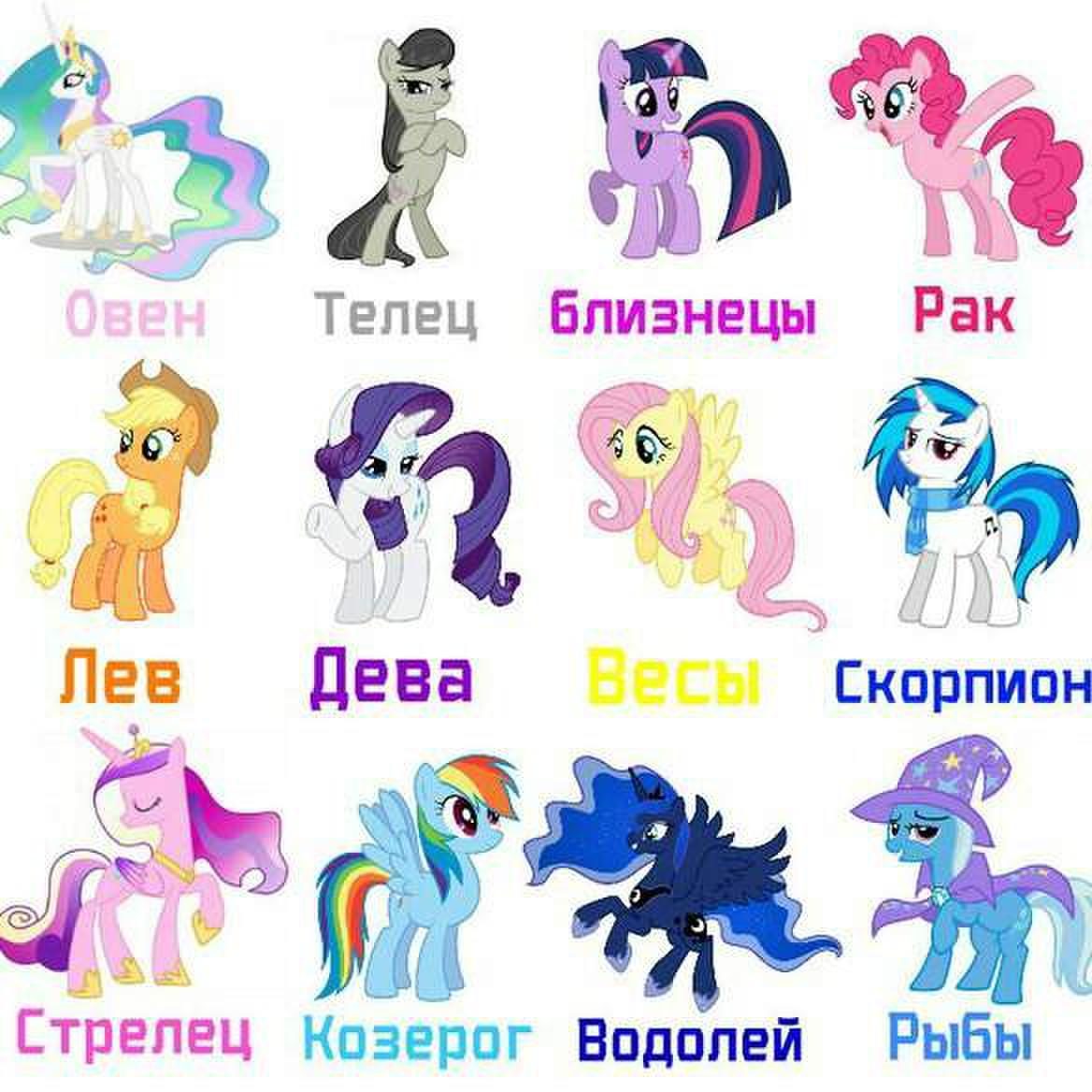 МЛП знаки зодиака