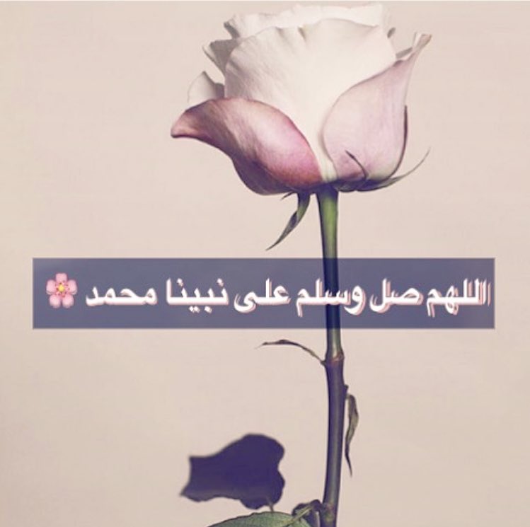 looma1407's tweet image. صلّوا على من يقف في [ نهاية الصِّراط]
عند باب الجنہ يراک تضع قدمک على أول الصِّراط
ويدعوا لک : يا رب سلّم يا رب سلّم