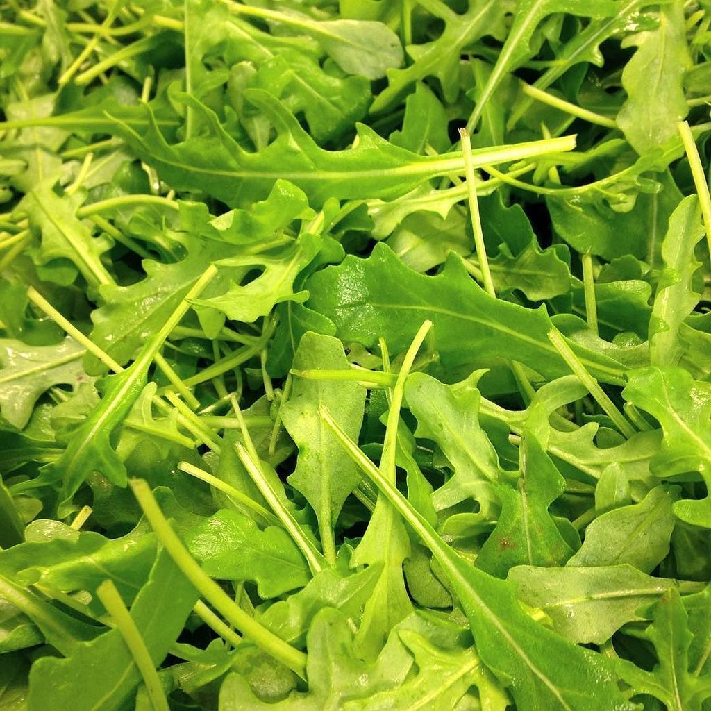 TheWatercressCo's tweet photo. The #UK season is building up! First delivery of wild #rocket, fresh from #Dorset! #localp… https://t.co/28E9RphWlB https://t.co/6mXVN860PY