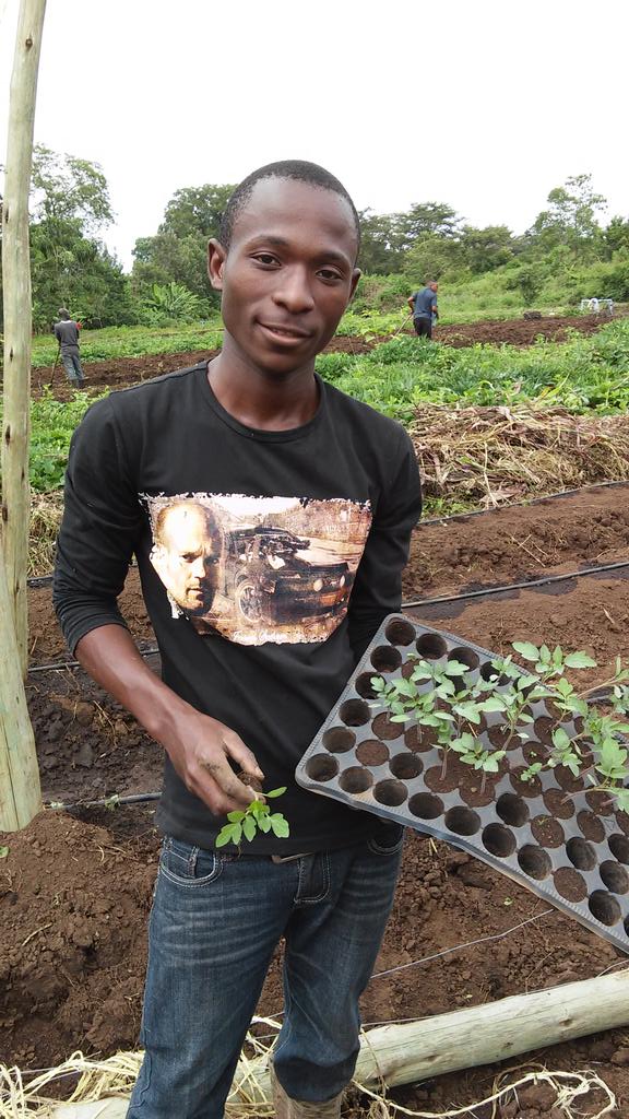 Idi Suleiman 24 using drip irrigation for his tomatoes at HortiTengeru field day <a href="/oyeafrica/">OYE Africa</a> <a href="/agriprofocus/">AgriProFocus</a> @SNV_AGRI