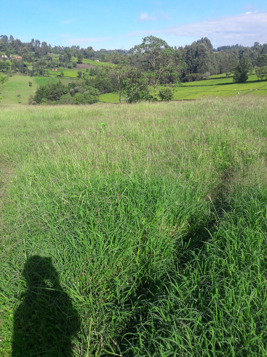 iAgriBizAfrica tweet media