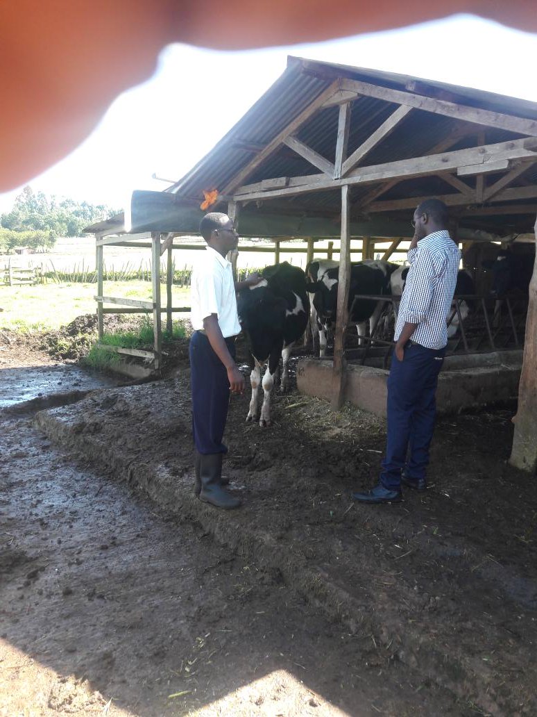 iAgriBizAfrica tweet media