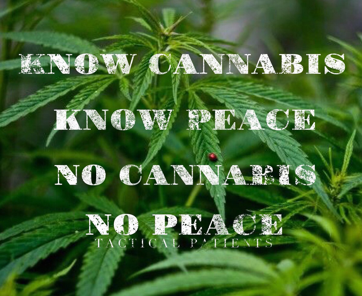 Tac_Pat's tweet photo. When you smoke the herb, it reveals you to yourself. #tacticalpatients #weedforwarriorsproject #medsforvets #hemp https://t.co/vWtKh6xZ4f