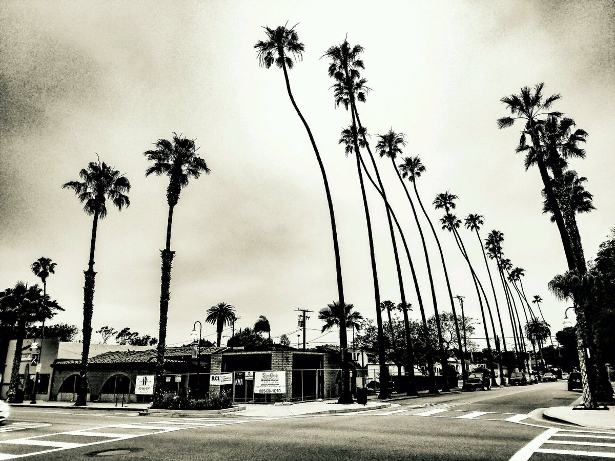 PhotoNotion's tweet photo. #PizzaManDan #Carpinteria #PalmTree #PhotoNotion https://t.co/jX9sk4en49