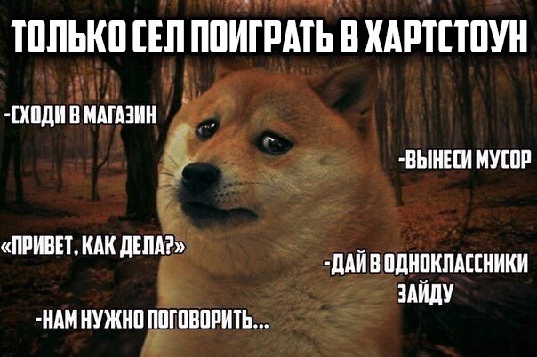 Жиза