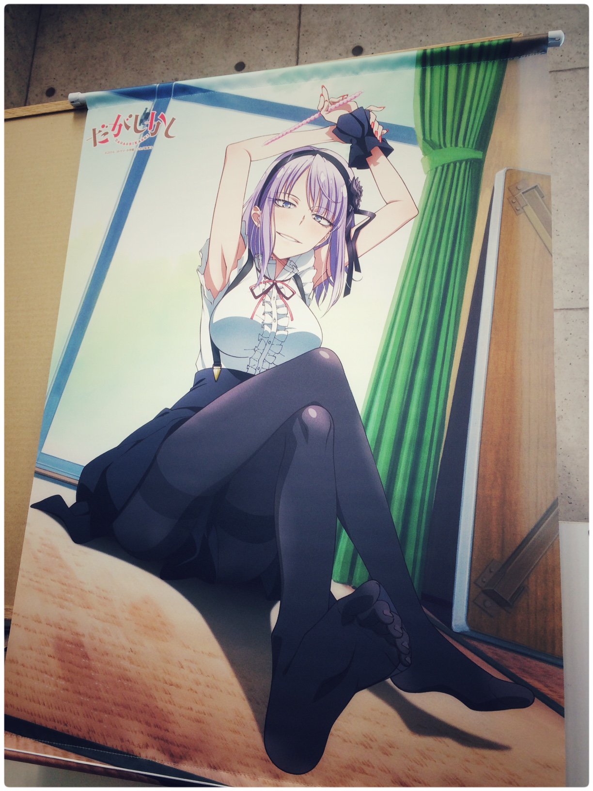 激レア品　だがしかし　枝垂ほたる　B2タペストリー だがしかし2 とらのあな BD 全巻購入特典 枝垂ほたる B2