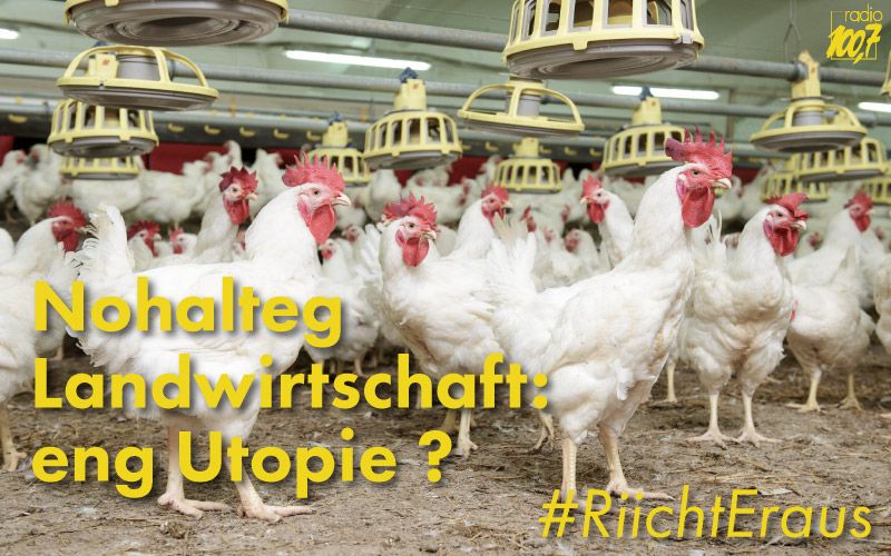 Dat neit Agrargesetz am Fokus vu #RiichtEraus de Samschdeg um 12. <a href="/CSchimmer/">Carole Schimmer</a> moderéiert. <a href="/Greenpeace_Lux/">GreenpeaceLuxembourg</a> <a href="/dp_lu/">Demokratesch Partei</a>