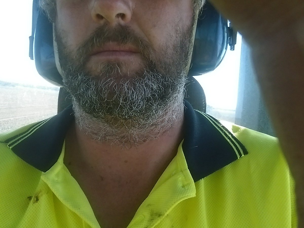 Jusakstud's tweet photo. @BlackPearl152 @Seedingbeards grey and itchy https://t.co/AEafuXxuXg