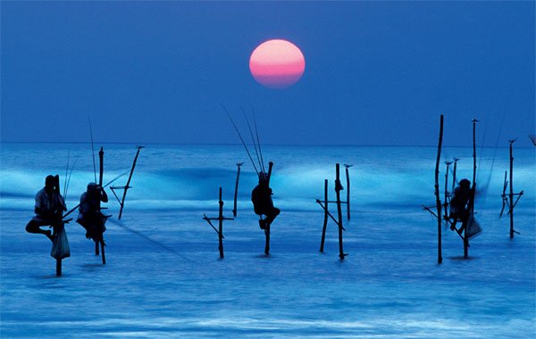 TourPackageSL's tweet photo. Things to do If You Ever Visit Sri Lanka
See Stilt fisherman – https://t.co/L1p3glySFl https://t.co/MQh1rAPI3u