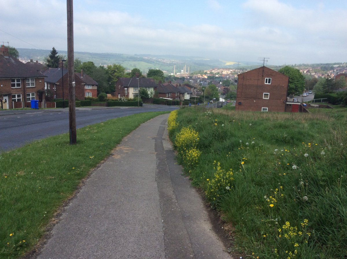 playedinsheff's tweet photo. Day:4
#schools:24
@pepsi cans:58
#Walk:15.3miles(67.5)
#Steps:29,070
https://t.co/Z3sXEIZU0W
#SoutheyGreen #tired https://t.co/wUkfTPxrpz