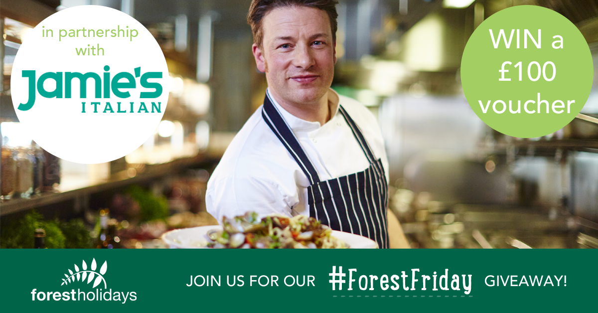 forestholidays tweet picture