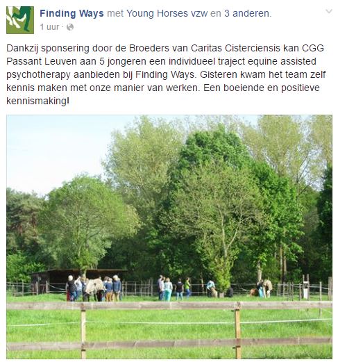 Vanaf nu kunnen we onze cliënten ook equine assisted psychotherapy aanbieden, ism #FindingWays #samenwerking