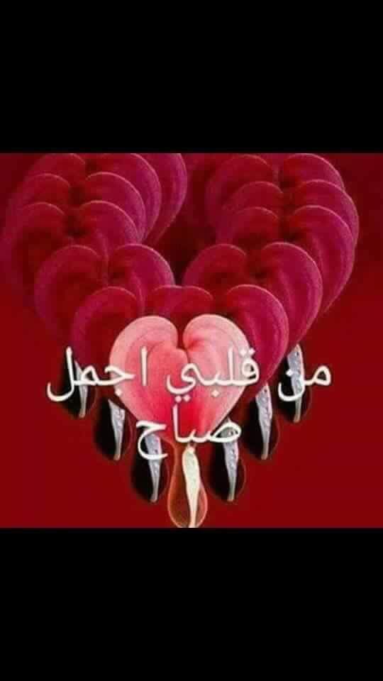يمني وفتخر (@lis8hrjvqtg78kf) on Twitter photo 