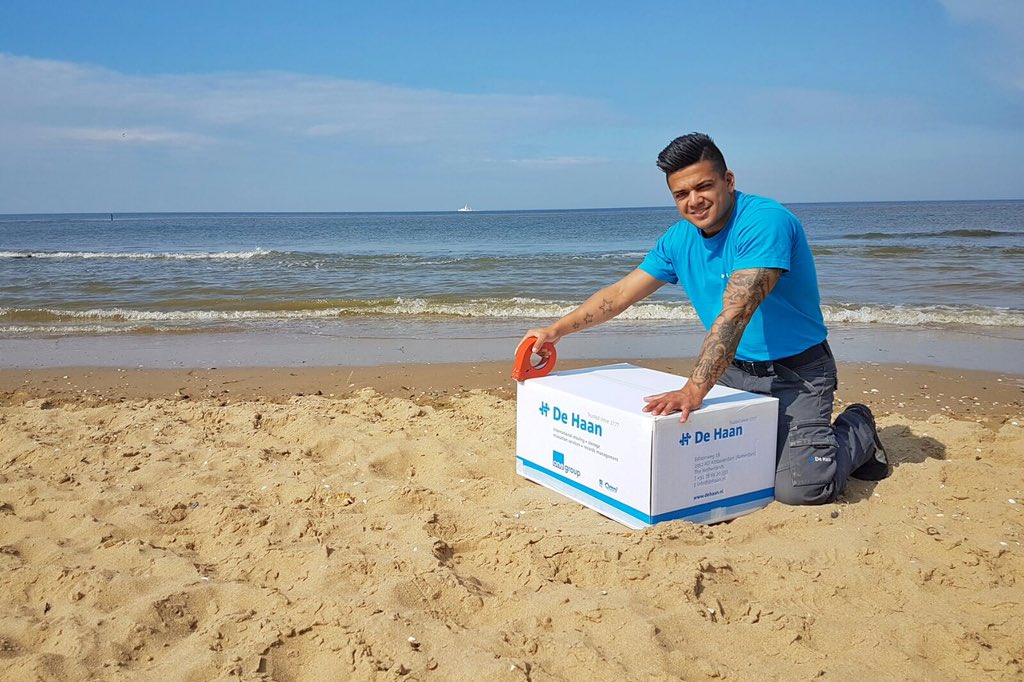 HaanRelocation's tweet image. Crazy Friday: packaging overseas! 😉 #dehaan #alwaysserious