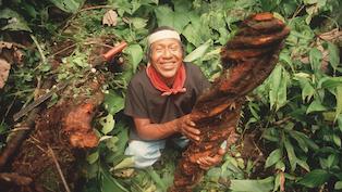 monkprayogshala's tweet image. This Is #Spocks Favorite #Psychedelic buff.ly/24Oaxim via @NautilusMag