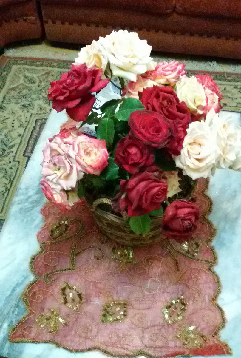 bitar_bassem tweet picture