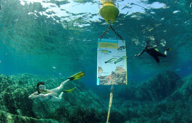 Port Cros et son sentier sous marin