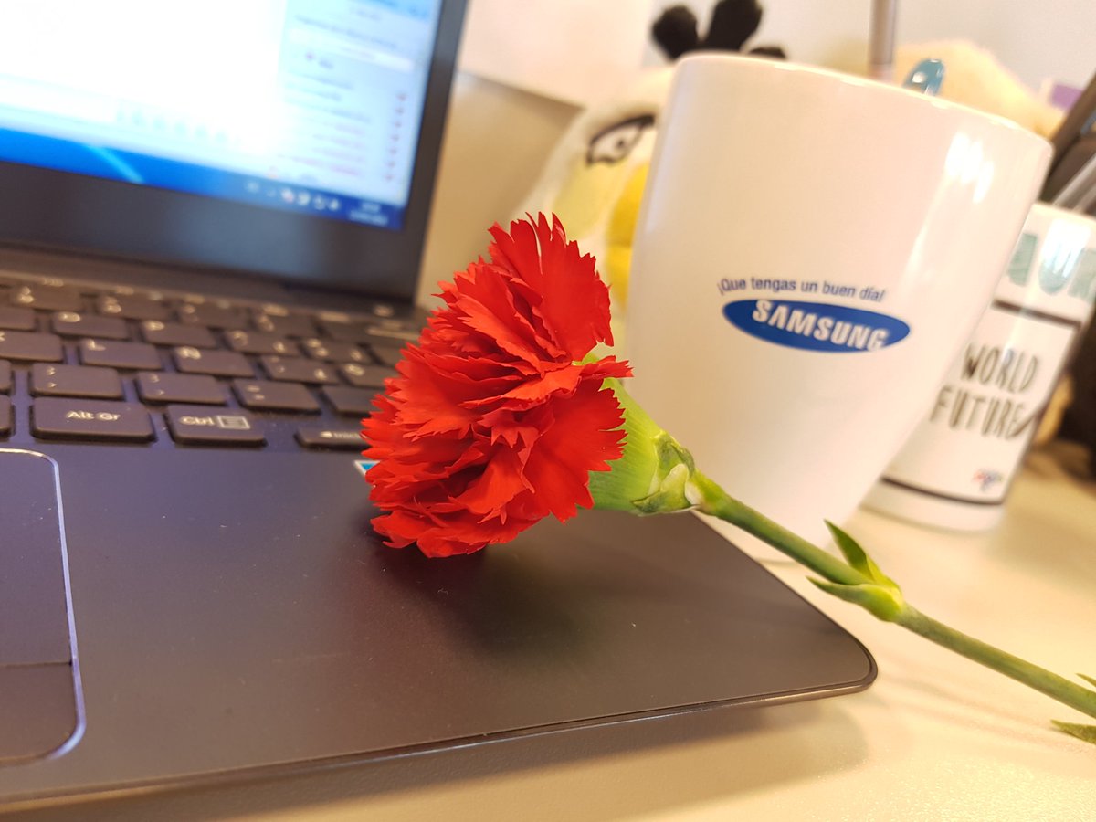 #Compisgeniales de <a href="/SamsungEspana/">Samsung España</a> que nos alegran la mañana con claveles rojos #vivasanisidro #demadridalcielo
